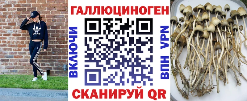 Галлюциногенные грибы мухоморы  купить   Протвино 