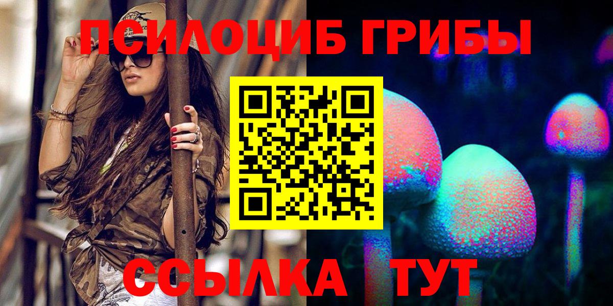 Псилоцибиновые грибы GOLDEN TEACHER Протвино