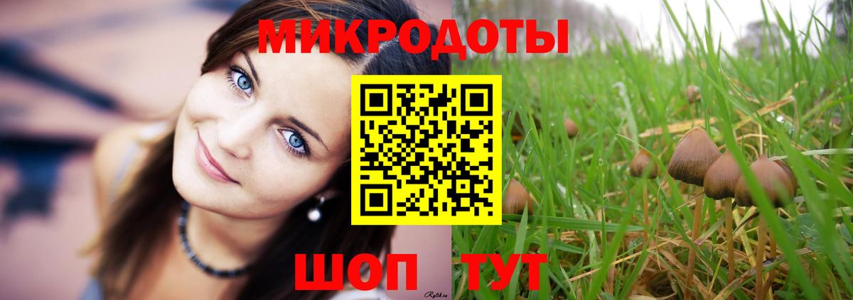 Галлюциногенные грибы GOLDEN TEACHER  Вход с VPN  Протвино 